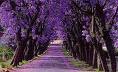 20070510102440-ceci.jpg
